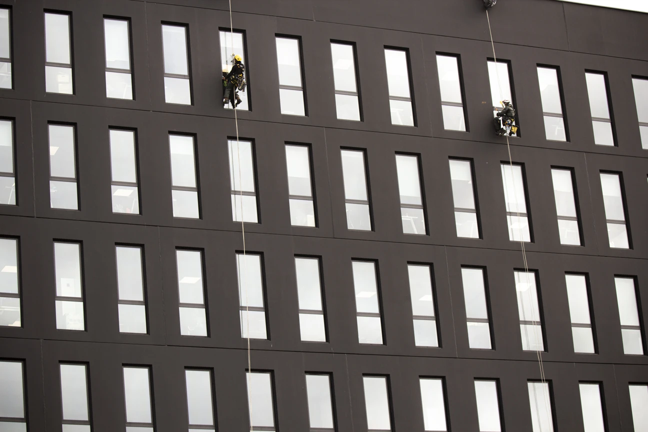 Intervention de cordistes MS Access pour vue dégagée chez BOR ROCADE à Villenave-d'Ornon (bâtiment) – 3